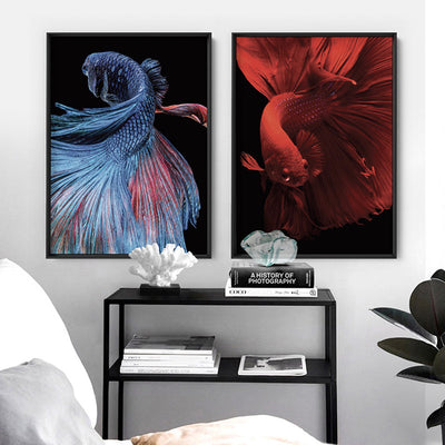 Japanese Red Betta Fighting Fish - Art Print, Poster, Stretched Canvas or Framed Wall Art, shown framed in a home interior space