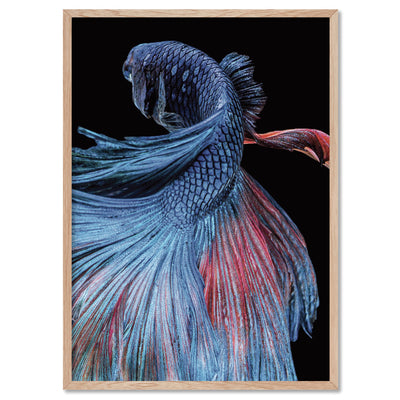 Japanese Red & Blue Betta Fighting Fish - Art Print, Poster, Stretched Canvas, or Framed Wall Art Print, shown in a natural timber frame