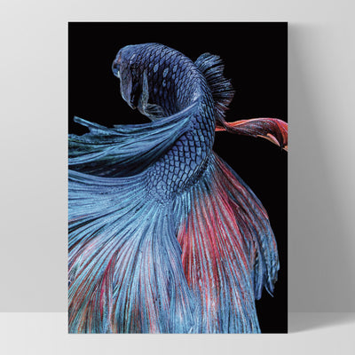 Japanese Red & Blue Betta Fighting Fish - Art Print, Poster, Stretched Canvas, or Framed Wall Art Print, shown as a stretched canvas or poster without a frame