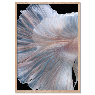 Japanese White II Betta Fighting Fish - Art Print, Poster, Stretched Canvas, or Framed Wall Art Print, shown in a natural timber frame
