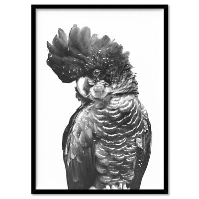 Black Cockatoo (black & white) - Art Print, Poster, Stretched Canvas, or Framed Wall Art Print, shown in a black frame