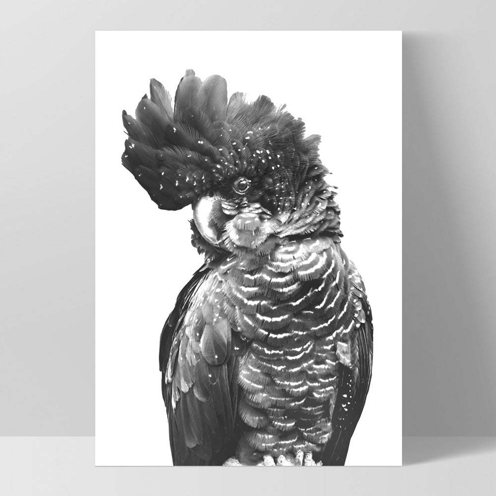 Black Cockatoo (black & white) - Art Print, Poster, Stretched Canvas, or Framed Wall Art Print, shown as a stretched canvas or poster without a frame