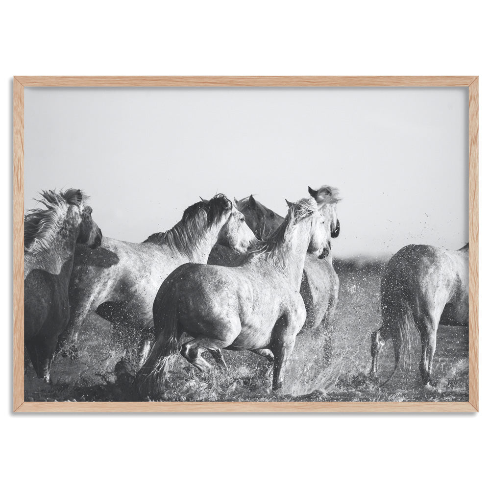 Horses in the Sea in B&W - Art Print, Poster, Stretched Canvas, or Framed Wall Art Print, shown in a natural timber frame