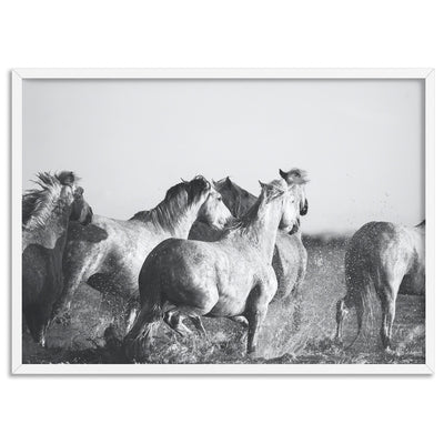 Horses in the Sea in B&W - Art Print, Poster, Stretched Canvas, or Framed Wall Art Print, shown in a white frame