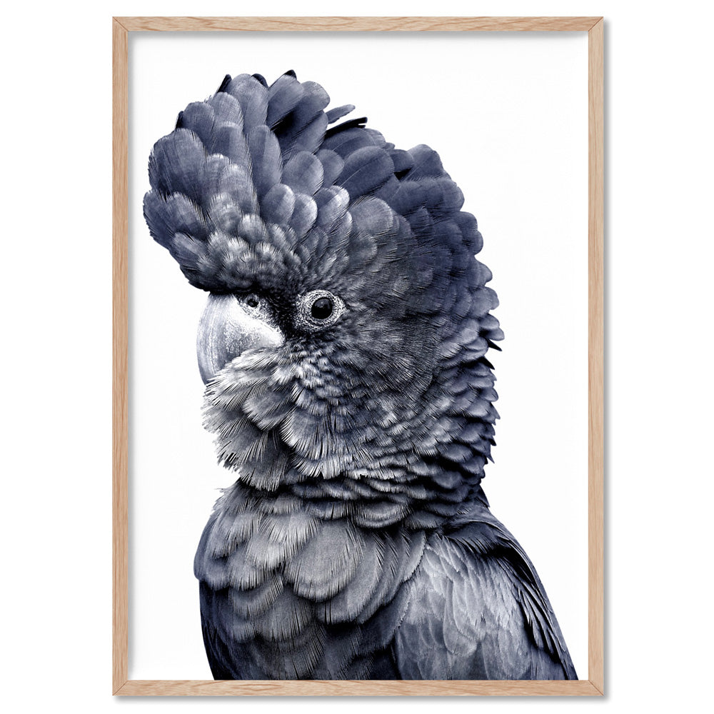 Black Cockatoo (Indigo & black) - Art Print, Poster, Stretched Canvas, or Framed Wall Art Print, shown in a natural timber frame