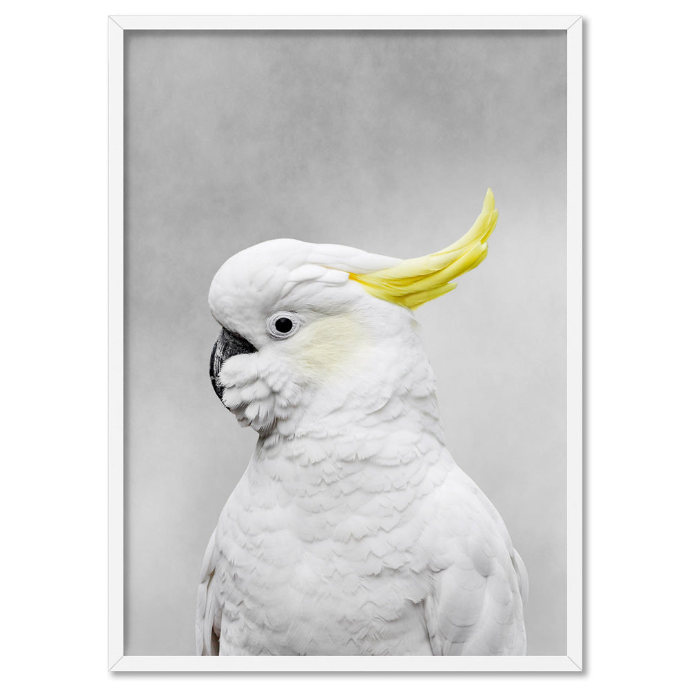 White Sulphur Crested Cockatoo I - Art Print, Poster, Stretched Canvas, or Framed Wall Art Print, shown in a white frame