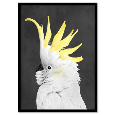 White Sulphur Crested Cockatoo II - Art Print, Poster, Stretched Canvas, or Framed Wall Art Print, shown in a black frame