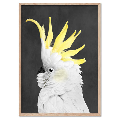White Sulphur Crested Cockatoo II - Art Print, Poster, Stretched Canvas, or Framed Wall Art Print, shown in a natural timber frame