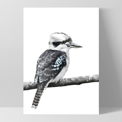 Kookaburra on Branch - Art Print, Poster, Stretched Canvas, or Framed Wall Art Print, shown as a stretched canvas or poster without a frame