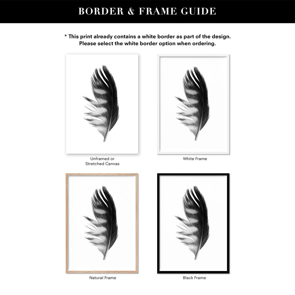 Feather Black & White III - Art Print, Poster, Stretched Canvas or Framed Wall Art, Showing White , Black, Natural Frame Colours, No Frame (Unframed) or Stretched Canvas, and With or Without White Borders