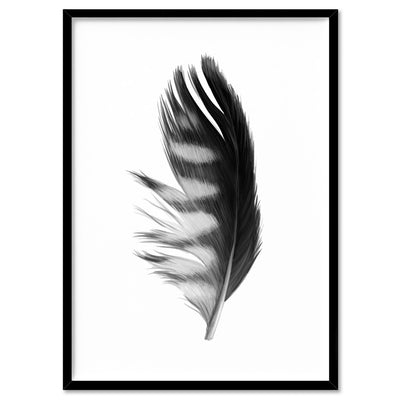 Feather Black & White III - Art Print, Poster, Stretched Canvas, or Framed Wall Art Print, shown in a black frame