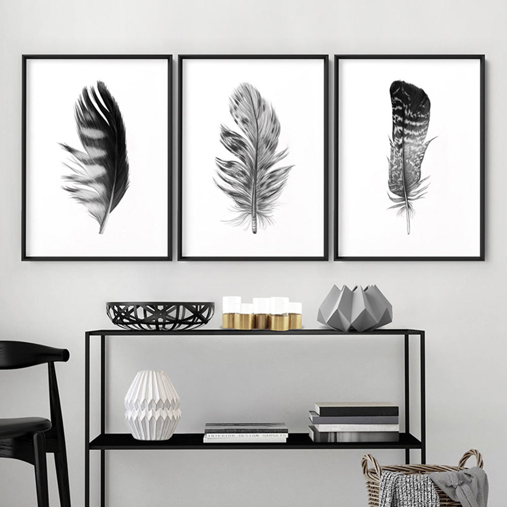 Feather Black & White V- Art Print, Poster, Stretched Canvas or Framed Wall Art, shown framed in a home interior space