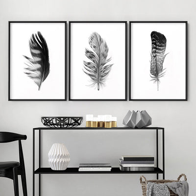 Feather Black & White V- Art Print, Poster, Stretched Canvas or Framed Wall Art, shown framed in a home interior space
