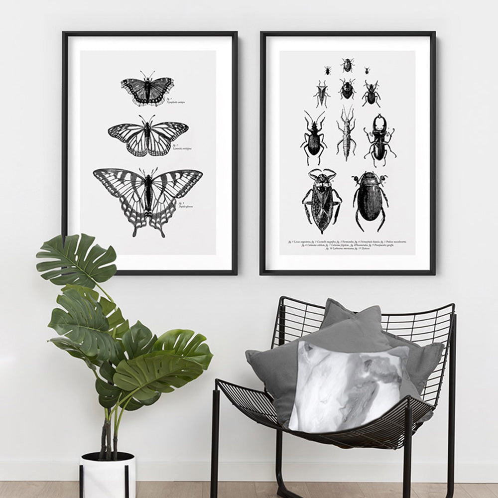 Butterflies Entomology / Mourning cloak, Viceroy & Eastern Tiger Swallowtail - Art Print, Poster, Stretched Canvas or Framed Wall Art, shown framed in a home interior space