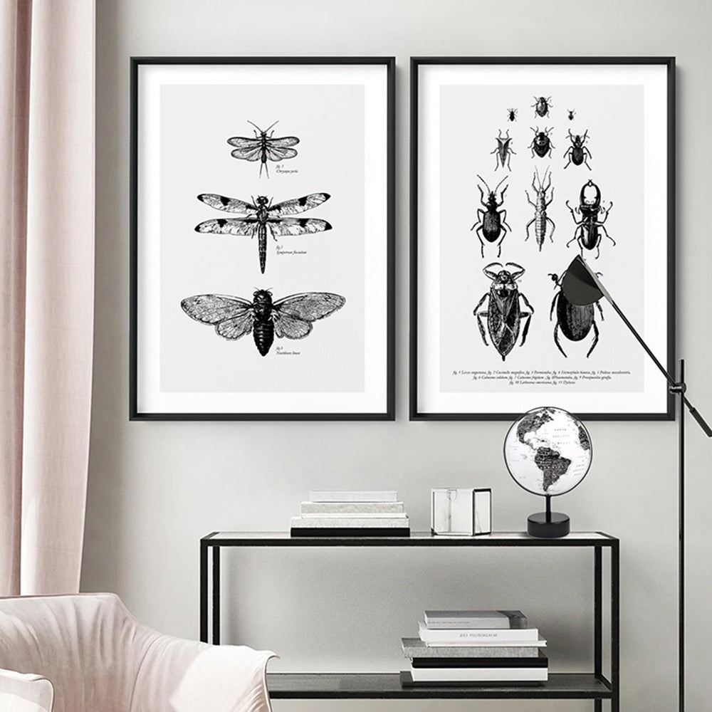 Bugs & Insects Entomology - Art Print, Poster, Stretched Canvas or Framed Wall Art, shown framed in a home interior space