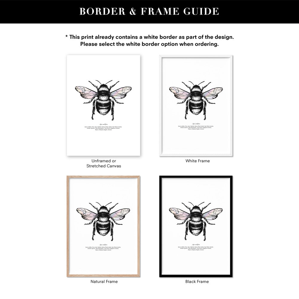 Honey Bee with Holo Wings - Art Print, Poster, Stretched Canvas or Framed Wall Art, Showing White , Black, Natural Frame Colours, No Frame (Unframed) or Stretched Canvas, and With or Without White Borders