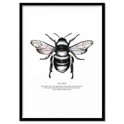 Honey Bee with Holo Wings - Art Print, Poster, Stretched Canvas, or Framed Wall Art Print, shown in a black frame