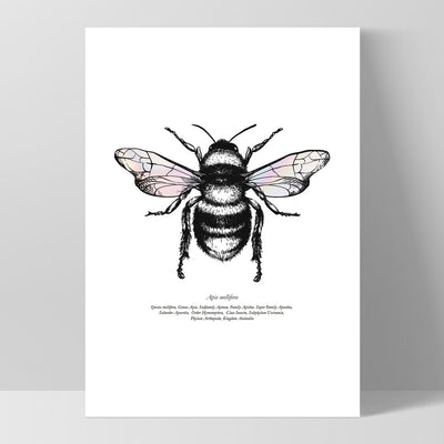 Honey Bee with Holo Wings - Art Print, Poster, Stretched Canvas, or Framed Wall Art Print, shown as a stretched canvas or poster without a frame