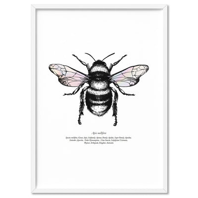 Honey Bee with Holo Wings - Art Print, Poster, Stretched Canvas, or Framed Wall Art Print, shown in a white frame