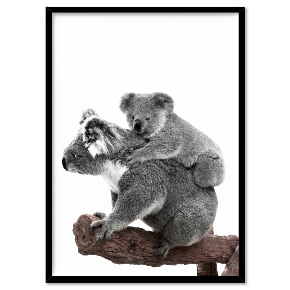 Koala Mother and Baby - Art Print, Poster, Stretched Canvas, or Framed Wall Art Print, shown in a black frame