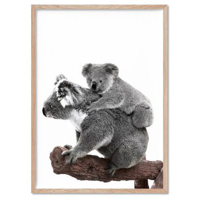 Koala Mother and Baby - Art Print, Poster, Stretched Canvas, or Framed Wall Art Print, shown in a natural timber frame