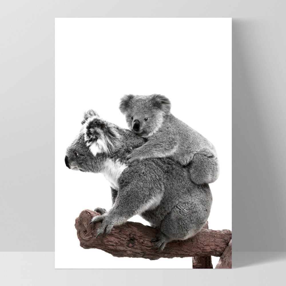 Koala Mother and Baby - Art Print, Poster, Stretched Canvas, or Framed Wall Art Print, shown as a stretched canvas or poster without a frame