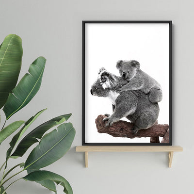 Koala Mother and Baby - Art Print, Poster, Stretched Canvas or Framed Wall Art Prints, shown framed in a room