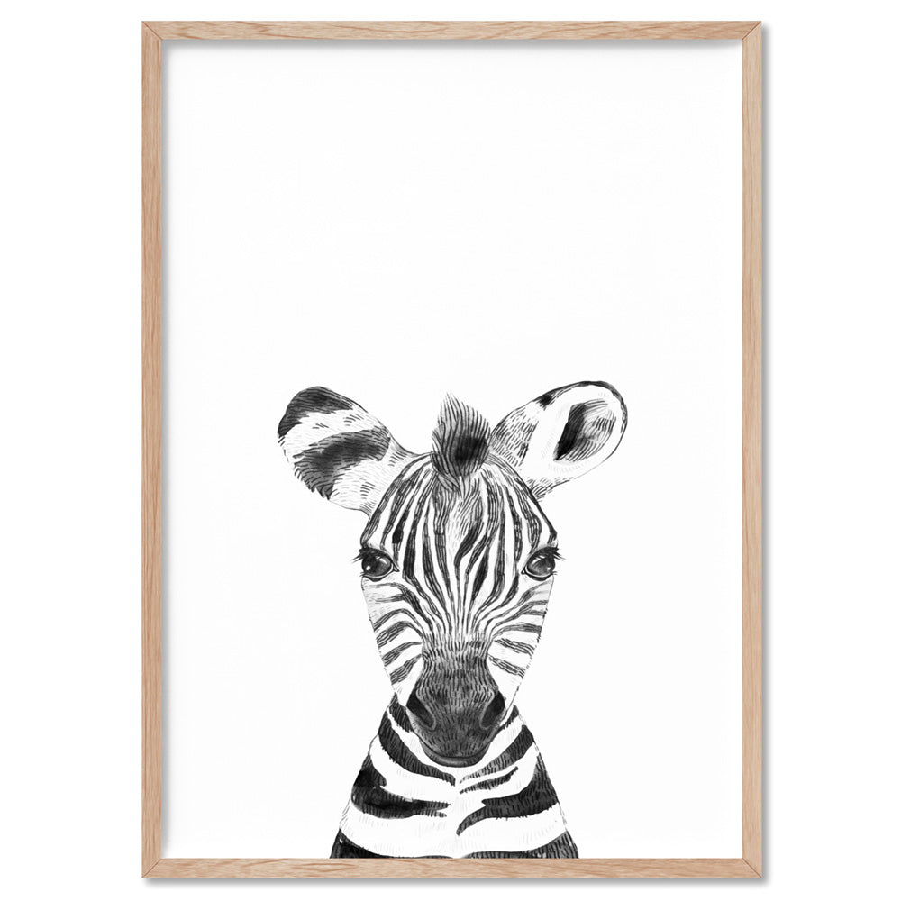 Zebra Baby Peek a Boo Animal - Art Print, Poster, Stretched Canvas, or Framed Wall Art Print, shown in a natural timber frame