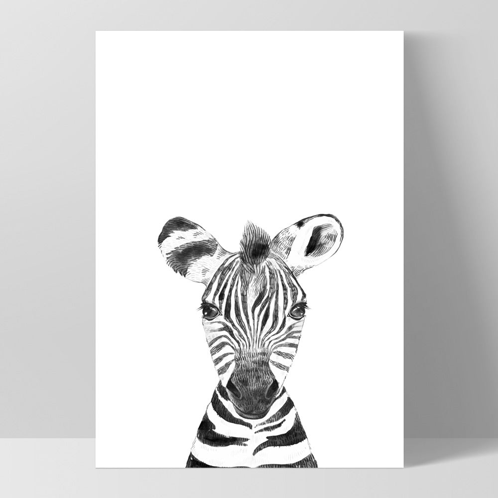 Zebra Baby Peek a Boo Animal - Art Print, Poster, Stretched Canvas, or Framed Wall Art Print, shown as a stretched canvas or poster without a frame