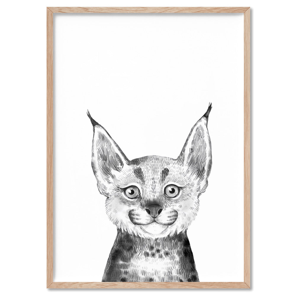 Bobcat Baby Peek a Boo Animal - Art Print, Poster, Stretched Canvas, or Framed Wall Art Print, shown in a natural timber frame
