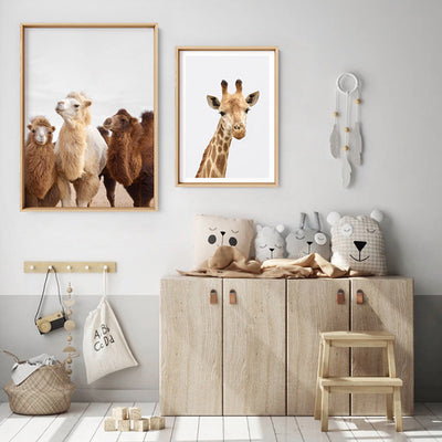 The Pack | Alpaca Trio - Art Print, Poster, Stretched Canvas or Framed Wall Art, shown framed in a home interior space