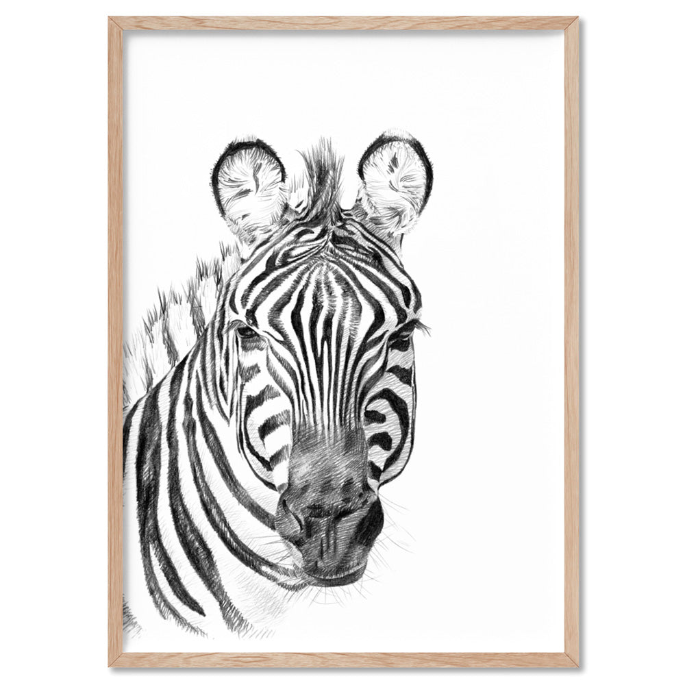 On Safari | Zebra Sketch - Art Print, Poster, Stretched Canvas, or Framed Wall Art Print, shown in a natural timber frame