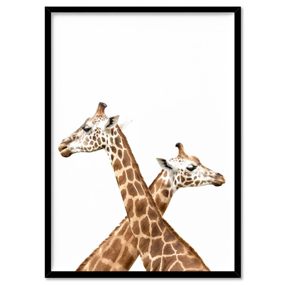 Grazing Giraffe Duo - Art Print, Poster, Stretched Canvas, or Framed Wall Art Print, shown in a black frame