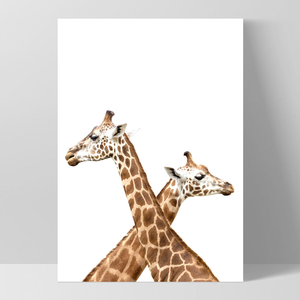 Grazing Giraffe Duo - Art Print, Poster, Stretched Canvas, or Framed Wall Art Print, shown as a stretched canvas or poster without a frame