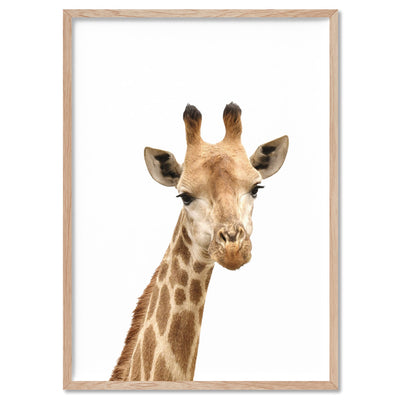 Cheeky Giraffe Stare - Art Print, Poster, Stretched Canvas, or Framed Wall Art Print, shown in a natural timber frame