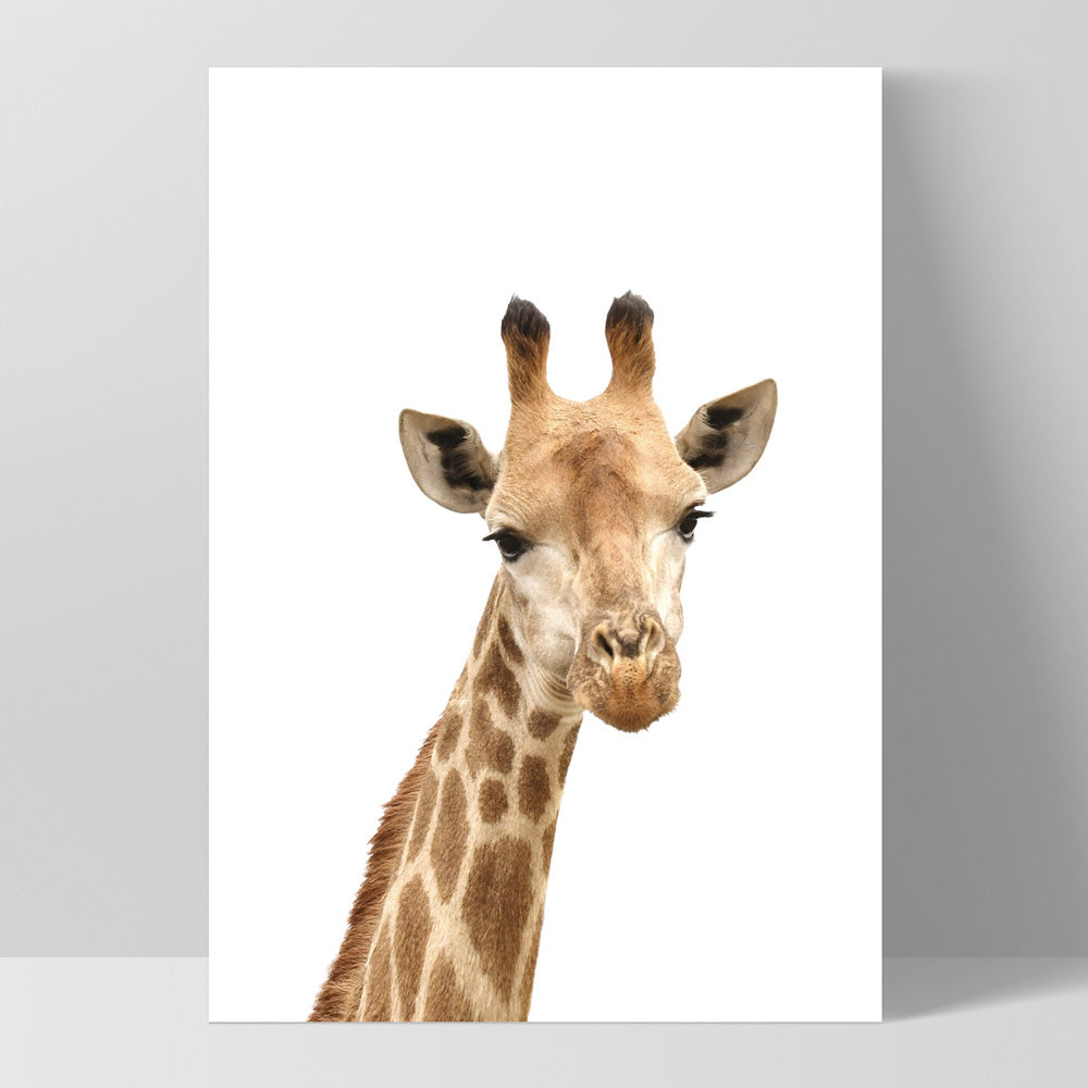 Cheeky Giraffe Stare - Art Print, Poster, Stretched Canvas, or Framed Wall Art Print, shown as a stretched canvas or poster without a frame