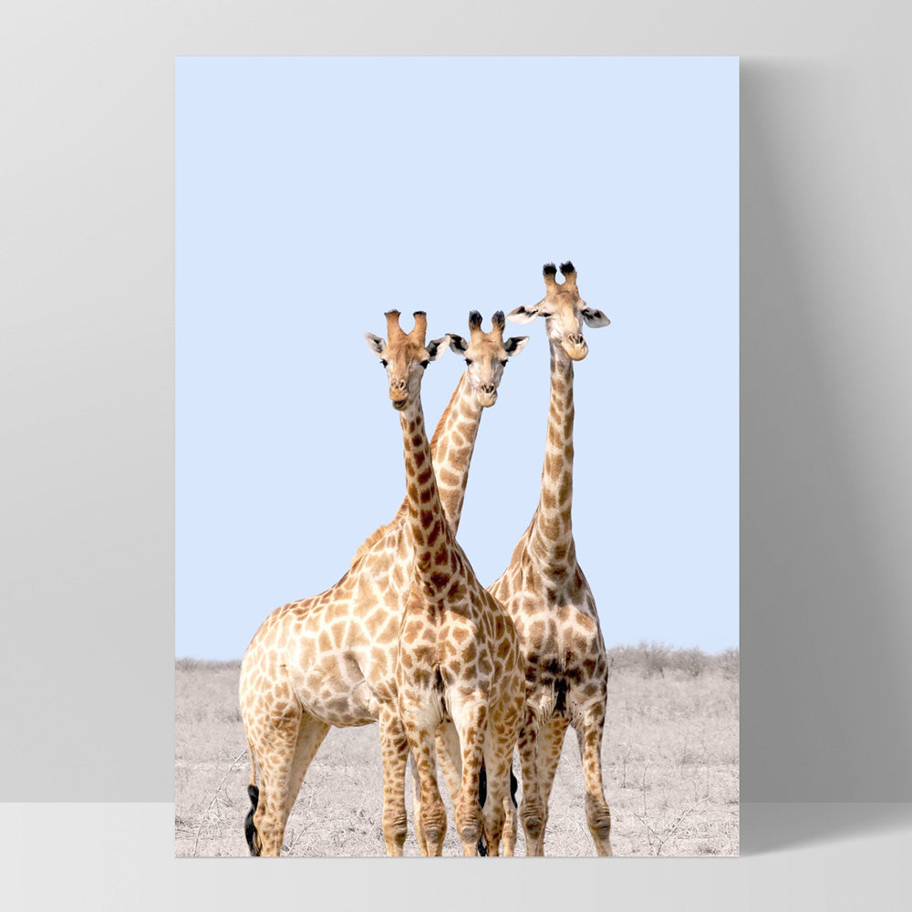 Giraffe Trio on Safari - Art Print, Poster, Stretched Canvas, or Framed Wall Art Print, shown as a stretched canvas or poster without a frame