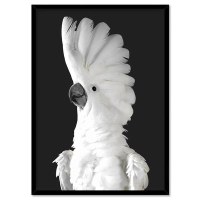 White Cockatoo on Charcoal Background - Art Print, Poster, Stretched Canvas, or Framed Wall Art Print, shown in a black frame