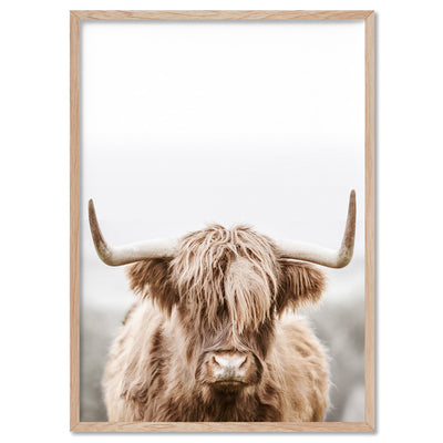 Highland Cow Portrait I - Art Print, Poster, Stretched Canvas, or Framed Wall Art Print, shown in a natural timber frame