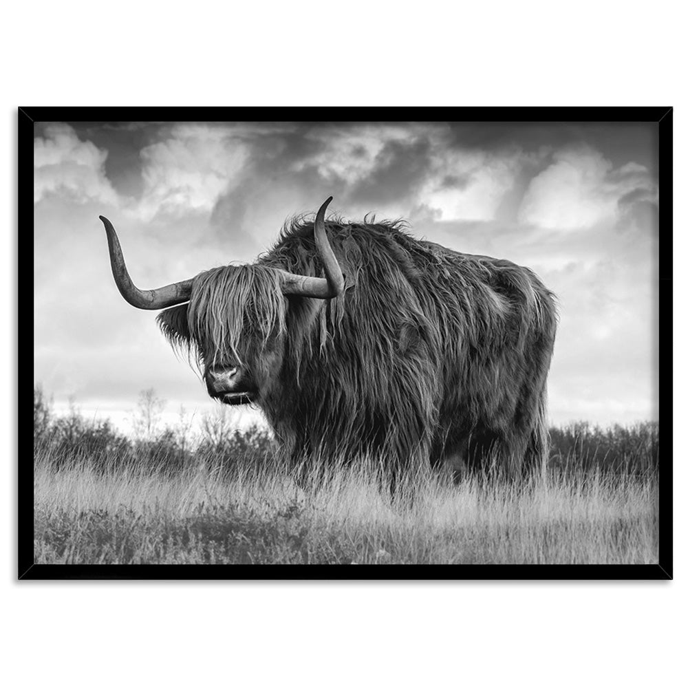 Highland Cow Landscape III B&W - Art Print, Poster, Stretched Canvas, or Framed Wall Art Print, shown in a black frame
