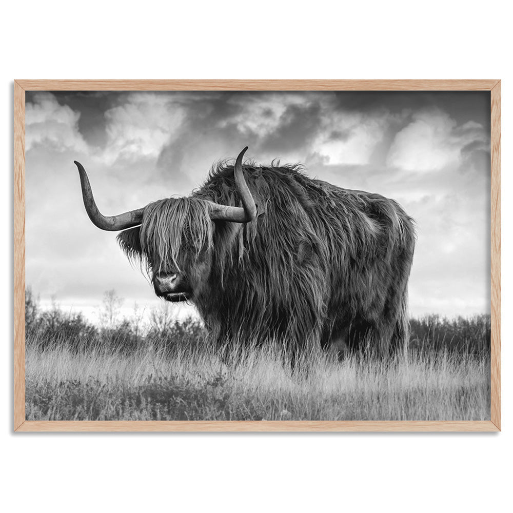 Highland Cow Landscape III B&W - Art Print, Poster, Stretched Canvas, or Framed Wall Art Print, shown in a natural timber frame