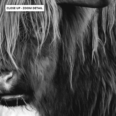 Highland Cow Landscape III B&W - Art Print, Poster, Stretched Canvas or Framed Wall Art, Close up View of Print Resolution