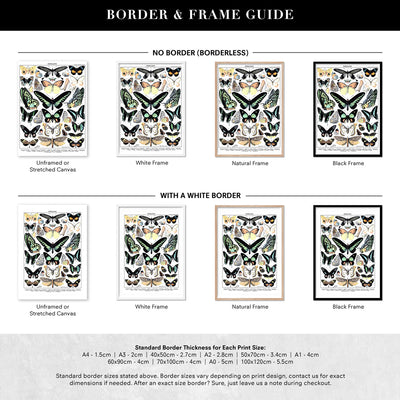 Papillons I Vintage Illustration by Adolphe Millot - Art Print, Poster, Stretched Canvas or Framed Wall Art, Showing White , Black, Natural Frame Colours, No Frame (Unframed) or Stretched Canvas, and With or Without White Borders