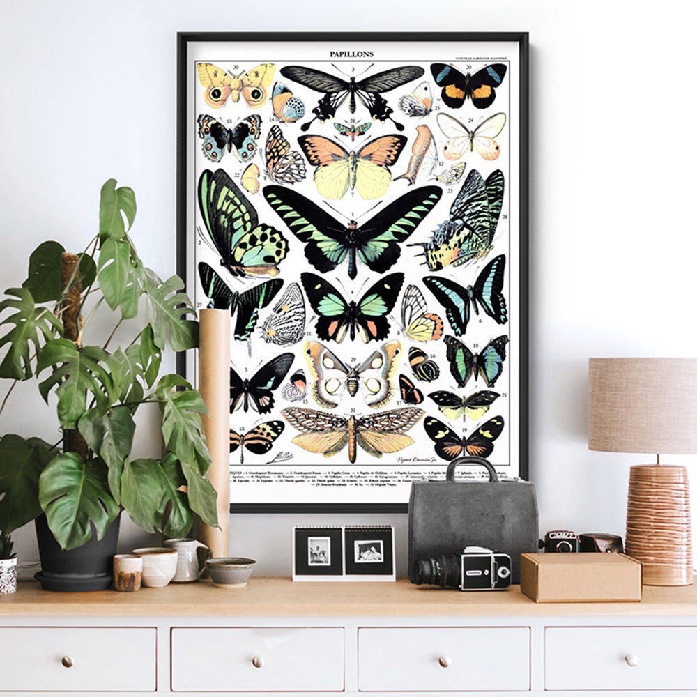 Papillons I Vintage Illustration by Adolphe Millot - Art Print, Poster, Stretched Canvas or Framed Wall Art Prints, shown framed in a room