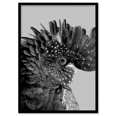 Black Cockatoo Pose in Black & White - Art Print, Poster, Stretched Canvas, or Framed Wall Art Print, shown in a black frame
