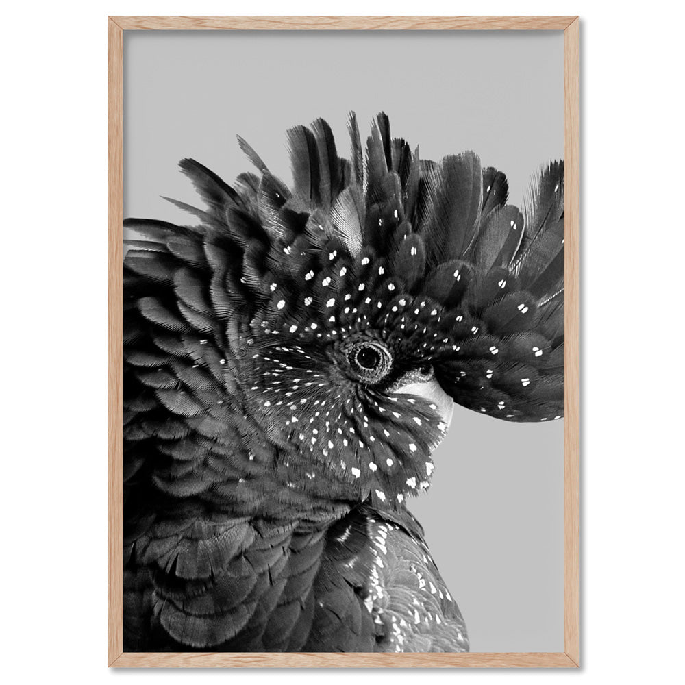Black Cockatoo Pose in Black & White - Art Print, Poster, Stretched Canvas, or Framed Wall Art Print, shown in a natural timber frame