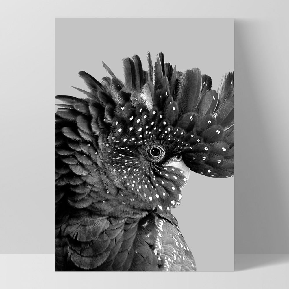 Black Cockatoo Pose in Black & White - Art Print, Poster, Stretched Canvas, or Framed Wall Art Print, shown as a stretched canvas or poster without a frame