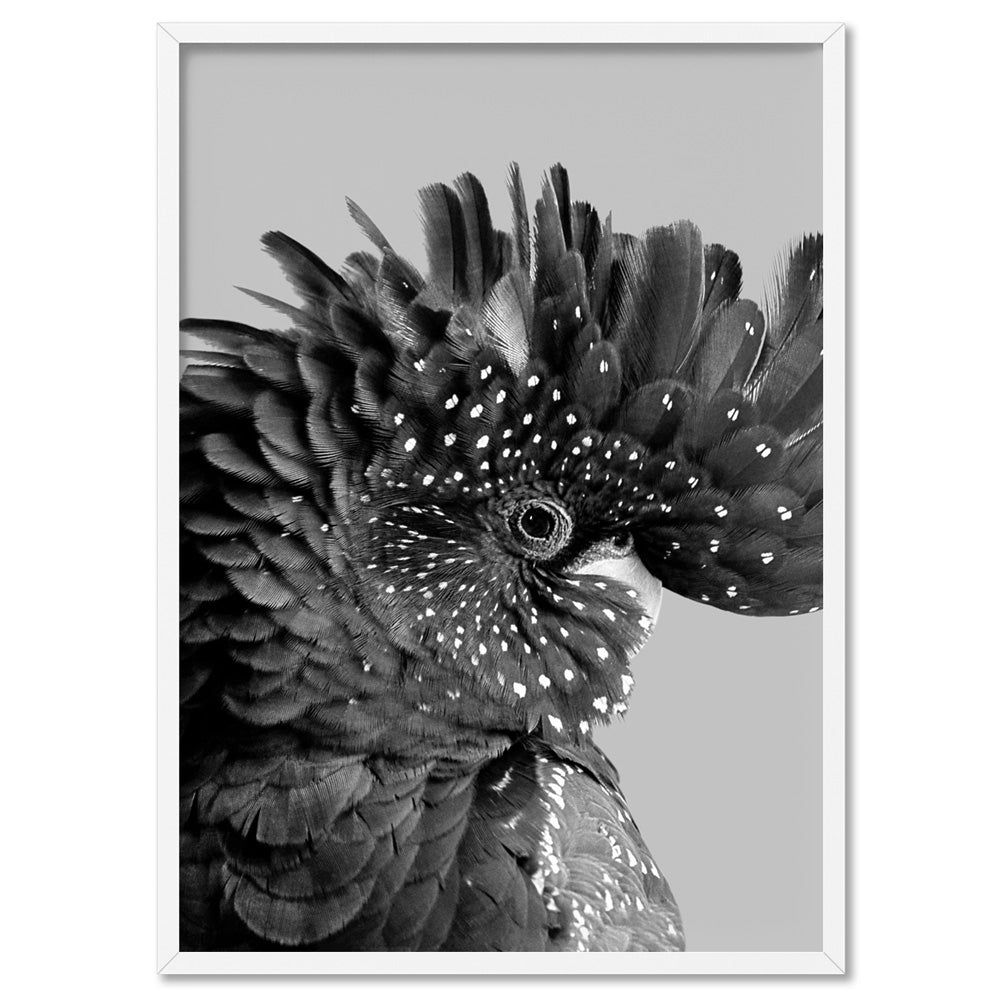 Black Cockatoo Pose in Black & White - Art Print, Poster, Stretched Canvas, or Framed Wall Art Print, shown in a white frame