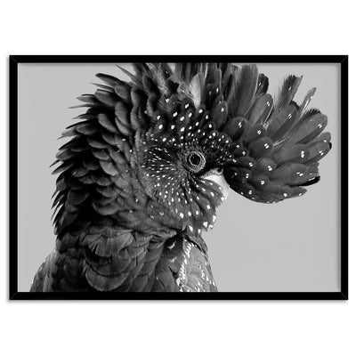 Black Cockatoo Pose Landscape, in Black & White - Art Print, Poster, Stretched Canvas, or Framed Wall Art Print, shown in a black frame