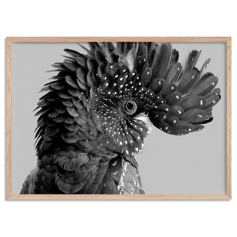 Black Cockatoo Pose Landscape, in Black & White - Art Print, Poster, Stretched Canvas, or Framed Wall Art Print, shown in a natural timber frame